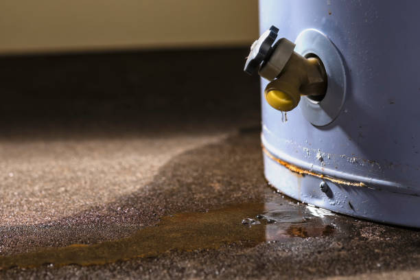 Best Fire Damage Restoration  in Frackville, PA