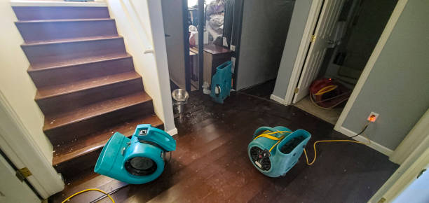  Frackville, PA Water damage restoration Pros