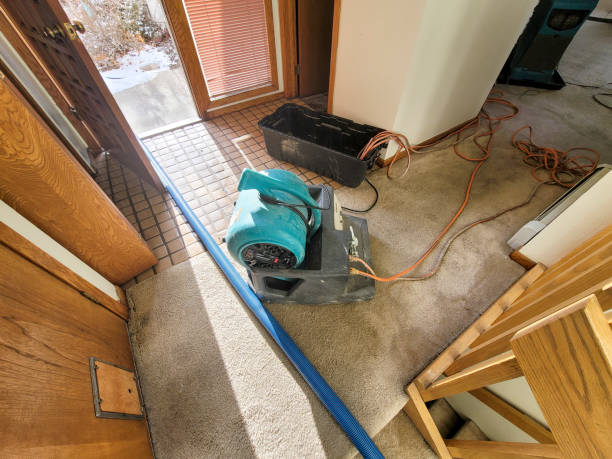 Best Water damage restoration near me  in Frackville, PA