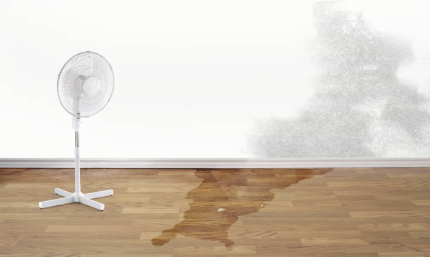 Water damage restoration experts in Frackville, PA
