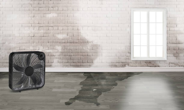 Water damage restoration mold remediation in Frackville, PA