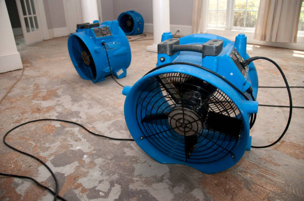 Best Fire Damage Restoration  in Frackville, PA