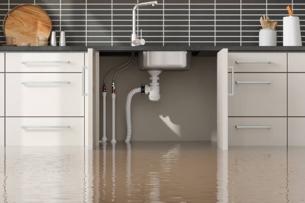  Frackville, PA Water damage restoration Pros