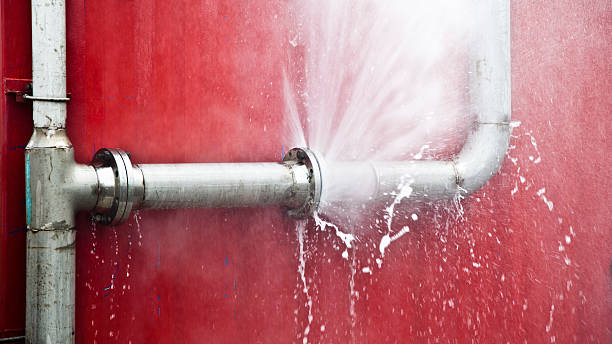 Best Sewage cleanup and water damage restoration  in Frackville, PA