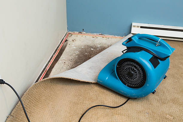 Best Flood restoration services  in Frackville, PA